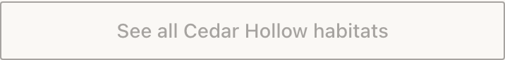 A Button block on a published page: a single full-width outlined rectangle with the centred label “See all Cedar Hollow habitats”. There is no icon, no heading above it and no supporting line underneath.