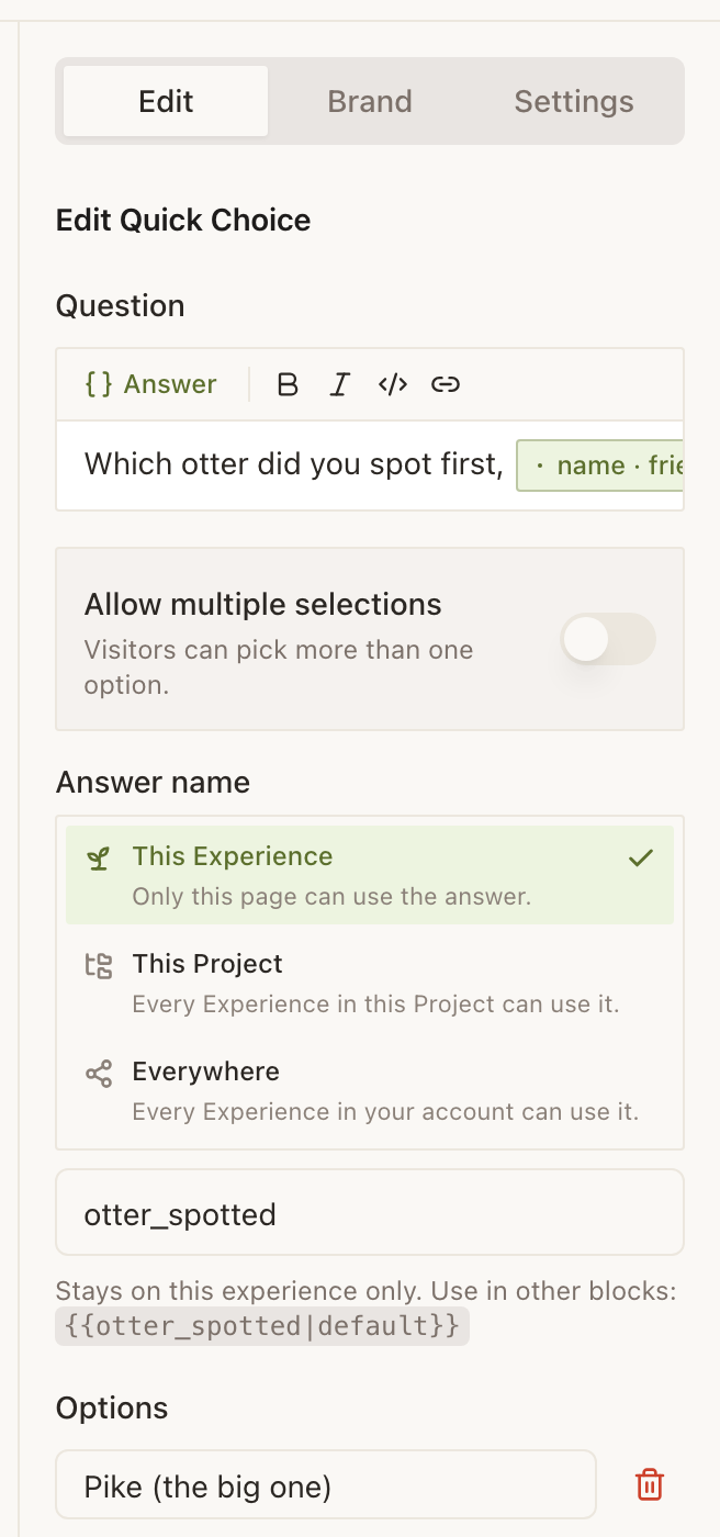 The Edit tab of the right rail, headed “Edit Quick Choice”. A Question field holds “Which otter did you spot first,” followed by a green answer chip, above a toolbar carrying a green {} Answer button, bold, italic, code and link. Under it, “Allow multiple selections” is switched off. Then an Answer name section offers three scopes as rows: “This Experience: Only this page can use the answer”, ticked and tinted green; “This Project: Every Experience in this Project can use it”; and “Everywhere: Every Experience in your account can use it”. Beneath sits the answer's name, otter_spotted, with the note that it stays on this Experience only and can be used in other blocks as {{otter_spotted|default}}. An Options list begins below with “Pike (the big one)”.