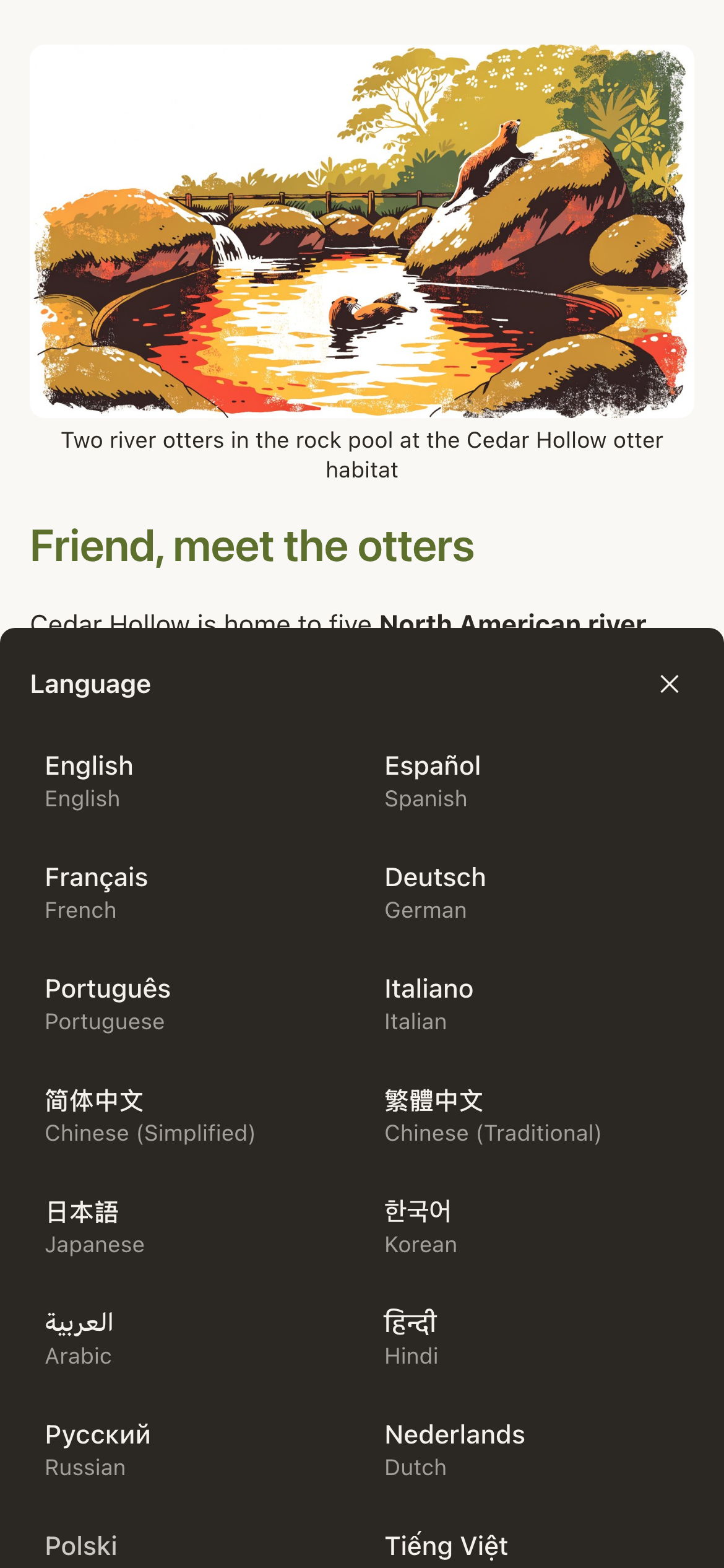 A phone showing the Language sheet raised over a live Experience. The list runs in two columns, each entry giving the language in its own script with the English name in grey beneath: English, Español / Spanish, Français / French, Deutsch / German, Português / Portuguese, Italiano / Italian, 简体中文 / Chinese (Simplified), 繁體中文 / Chinese (Traditional), 日本語 / Japanese, 한국어 / Korean, العربية / Arabic, हिन्दी / Hindi, Русский / Russian, Nederlands / Dutch, and the start of Polski and Tiếng Việt. The Cedar Hollow otter page is visible above the sheet.